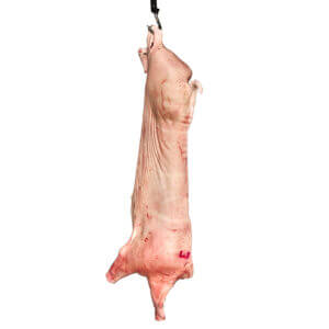 Свинина у півтушах E клас - замовити мясо гуртом від виробника для ресторанів, кафе, готелів, магазинів 